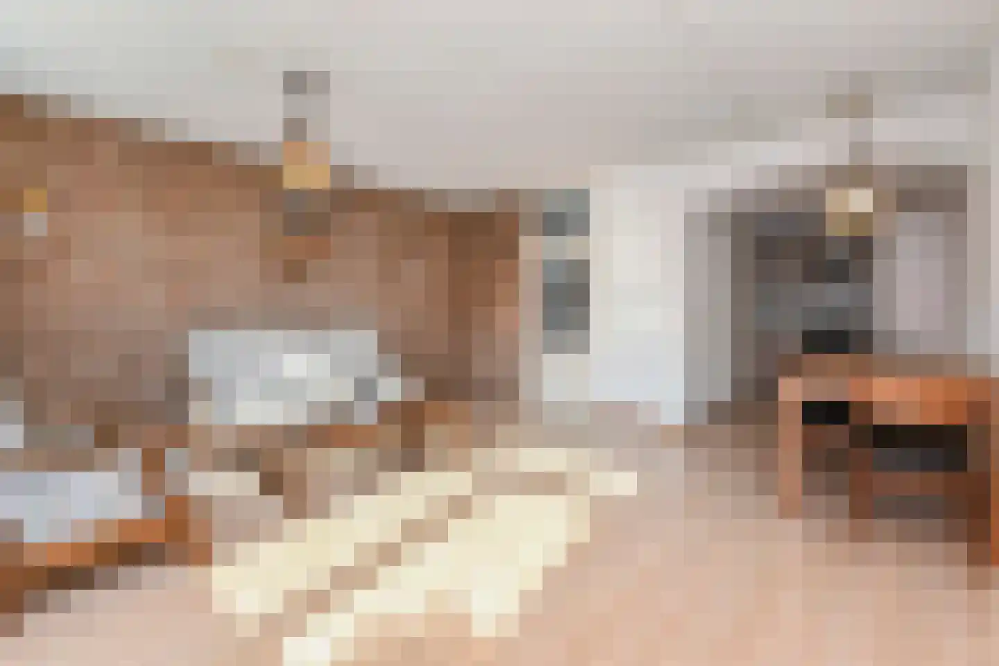 Kapellaan 28 Den Hoorn thumbnail 5