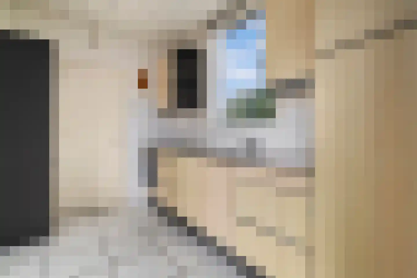 Kapellaan 3 a Heiloo thumbnail 17