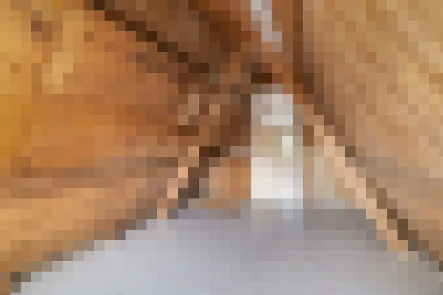 Kapellaan 3 a Heiloo thumbnail 34