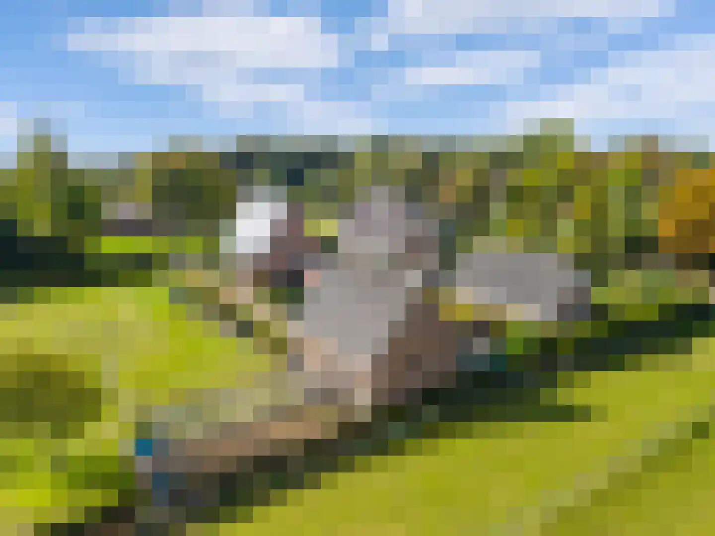 Kapellaan 3 a Heiloo thumbnail 48
