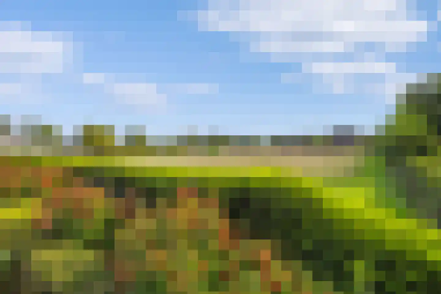 Kapellaan 3 a Heiloo thumbnail 51