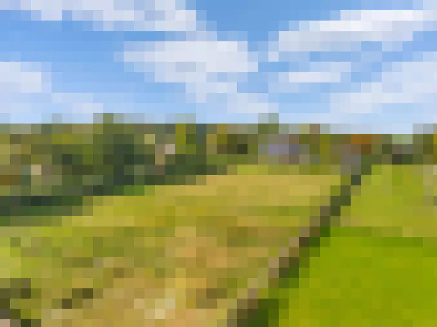 Kapellaan 3 a Heiloo thumbnail 52