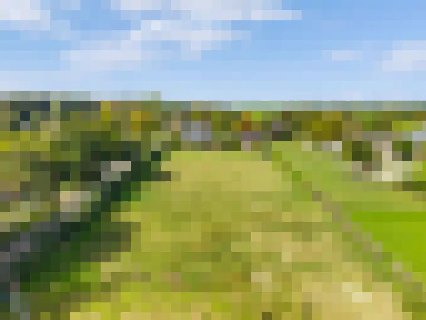 Kapellaan 3 a Heiloo thumbnail 53