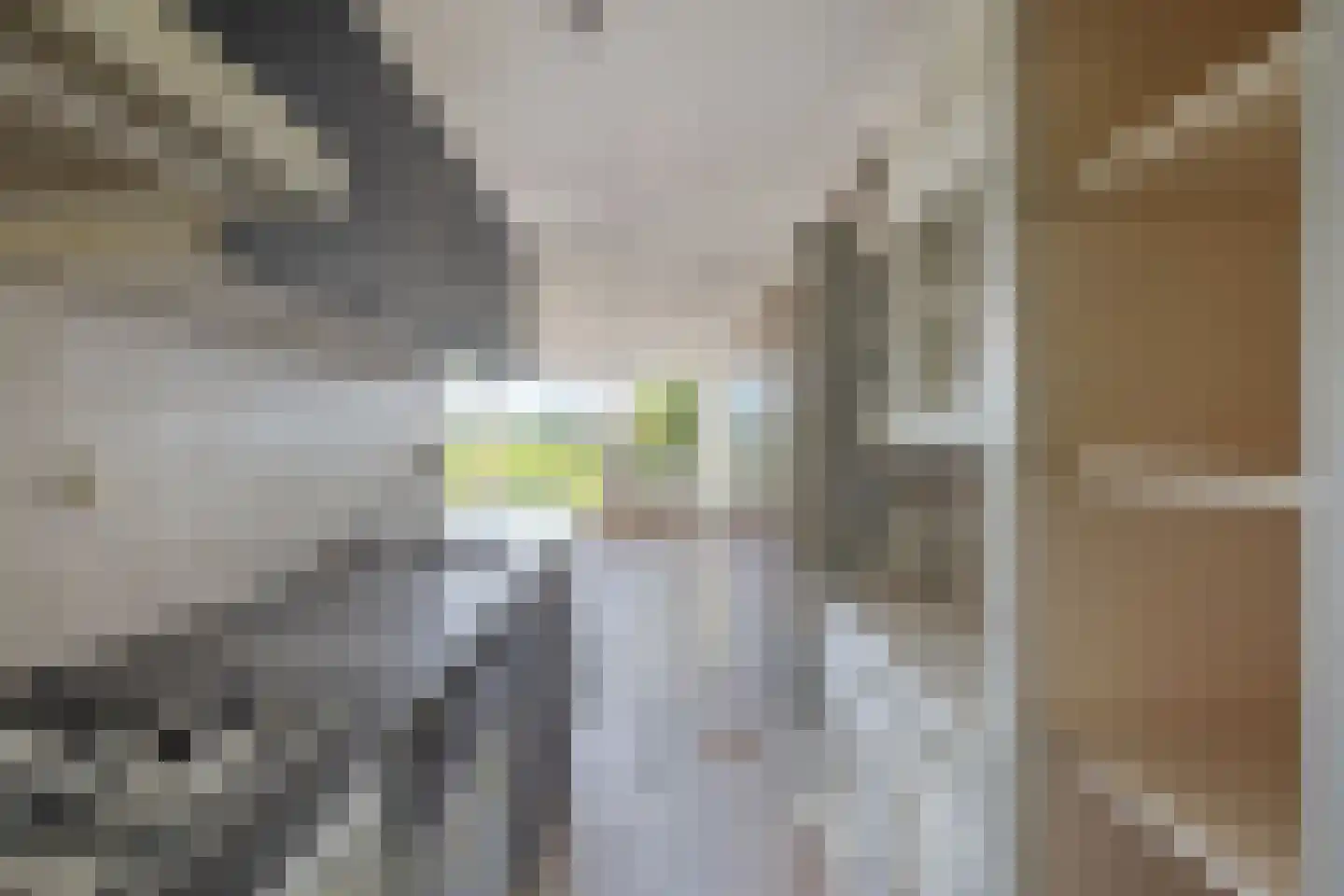 Kapellaan 4 Heiloo thumbnail 12