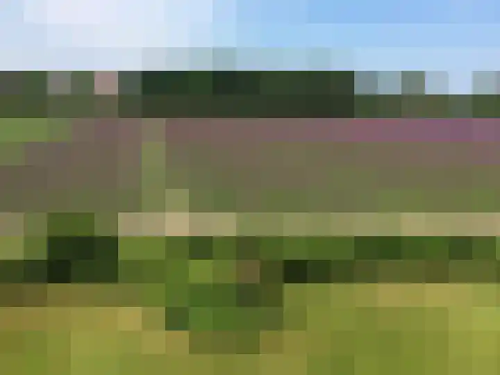 Kapellaan 42 Heiloo thumbnail 5