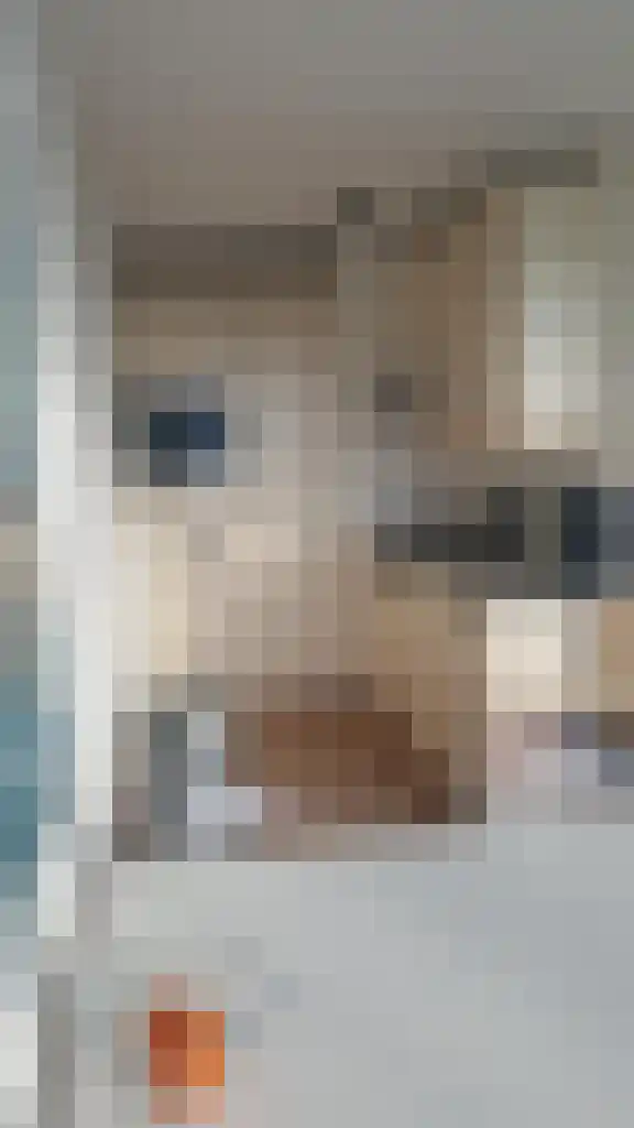 Kapellaan 42 Heiloo thumbnail 8