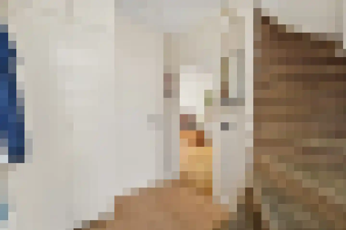 Kapellaan 53 Den Hoorn thumbnail 23