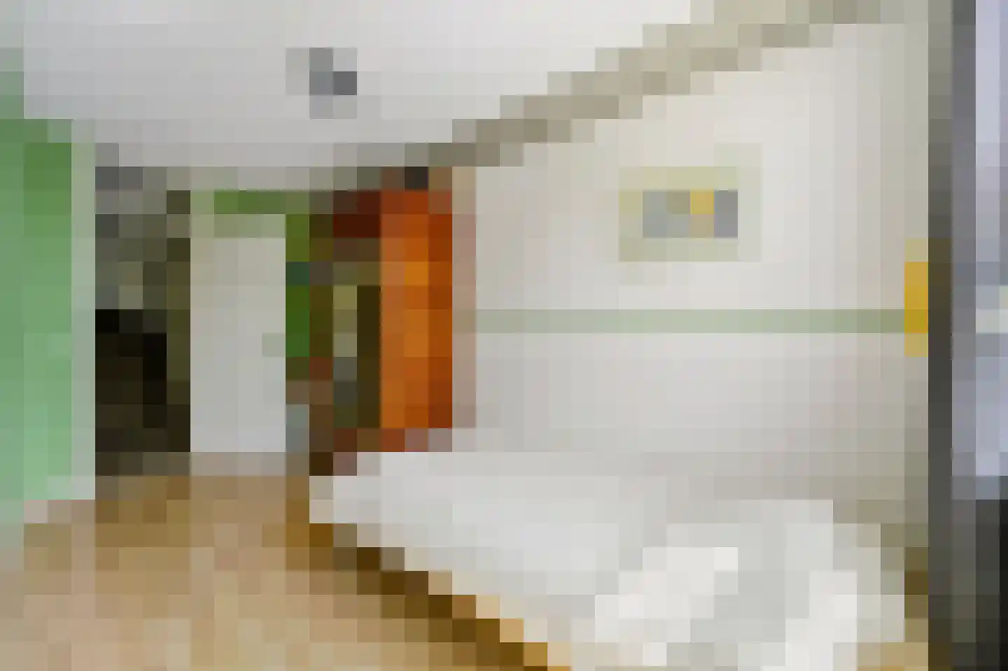Kapellaan 53 Den Hoorn thumbnail 34