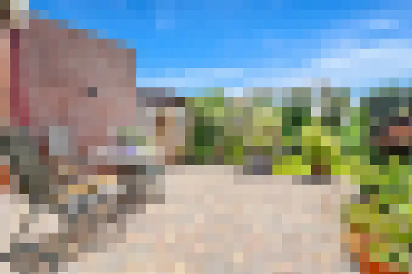 Kapellaan 53 Den Hoorn thumbnail 4