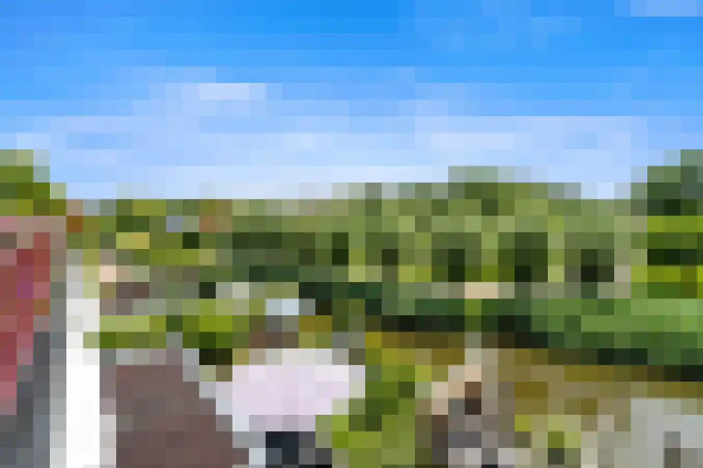Kapellaan 53 Den Hoorn thumbnail 45