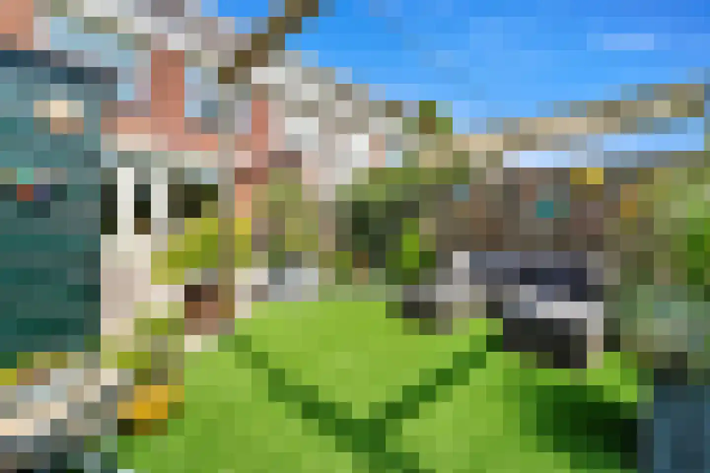 Kapellaan 53 Den Hoorn thumbnail 5