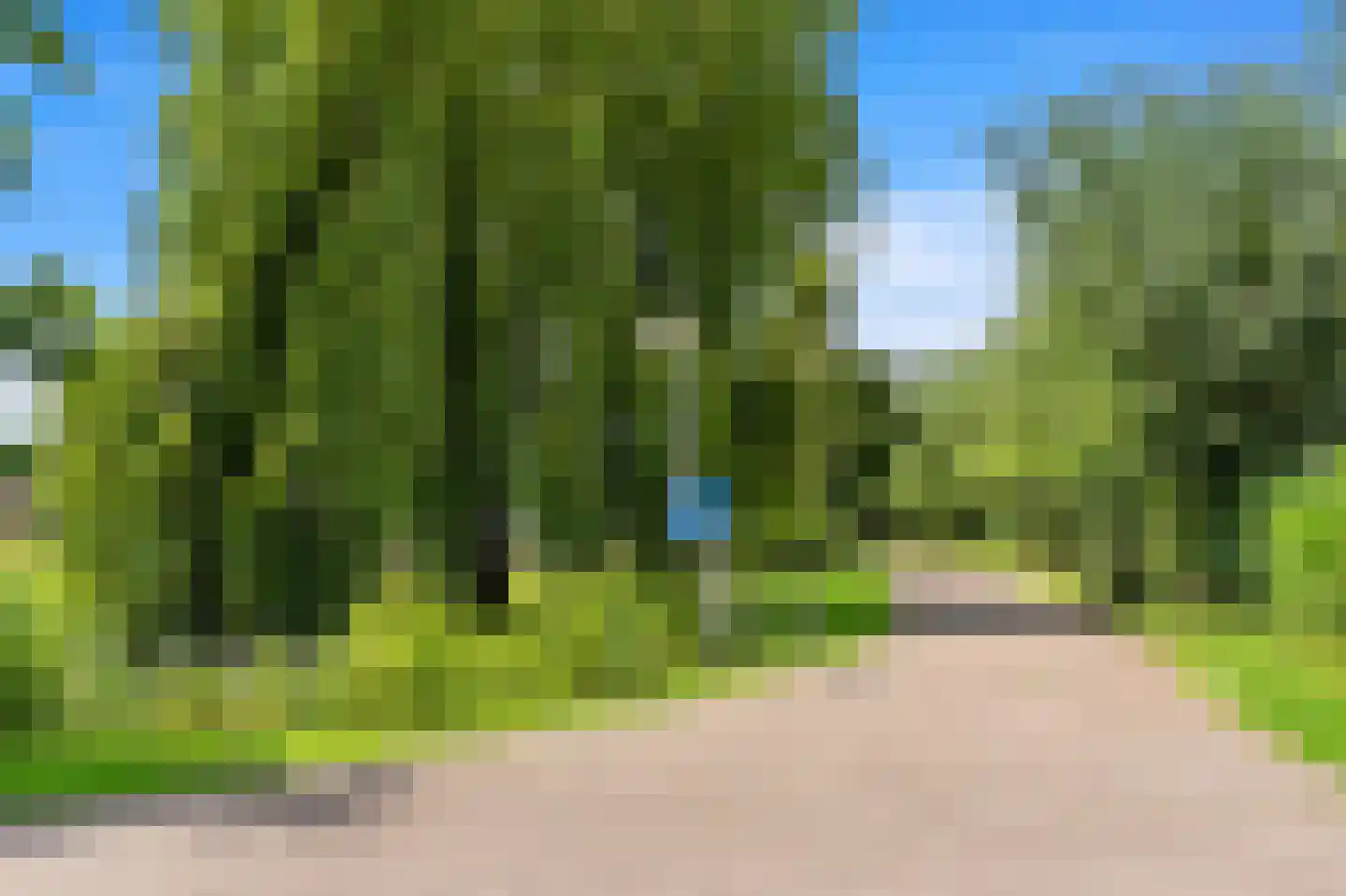 Kapellaan 53 Den Hoorn thumbnail 52