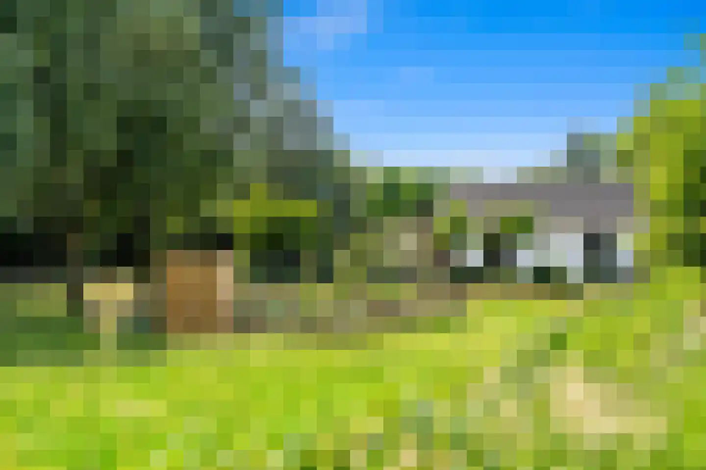Kapellaan 53 Den Hoorn thumbnail 54