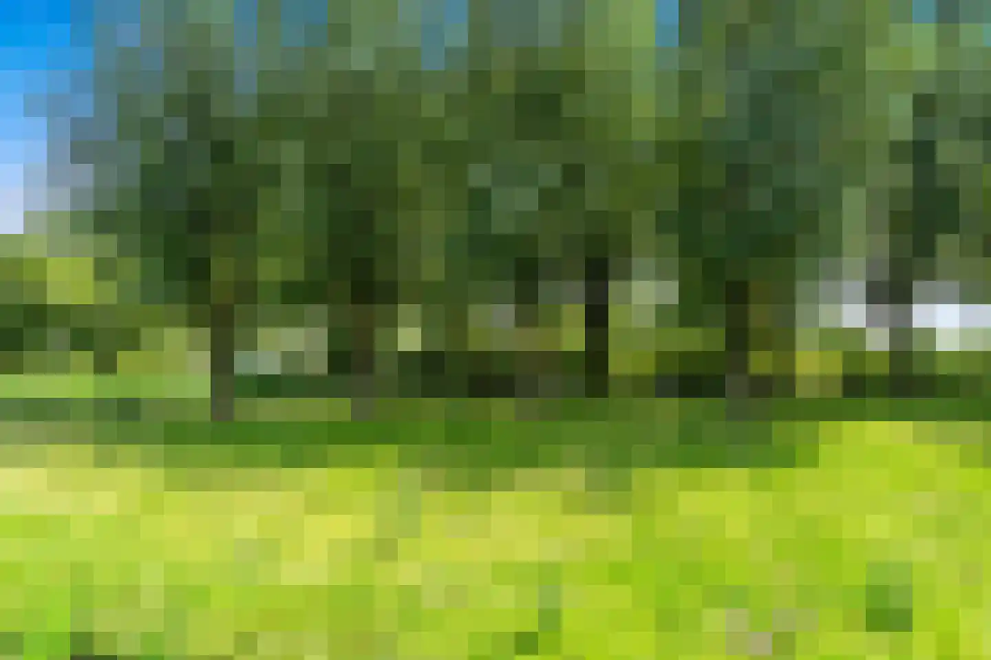 Kapellaan 53 Den Hoorn thumbnail 55