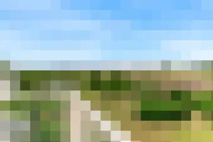 Kapellaan 60 Heiloo thumbnail 21