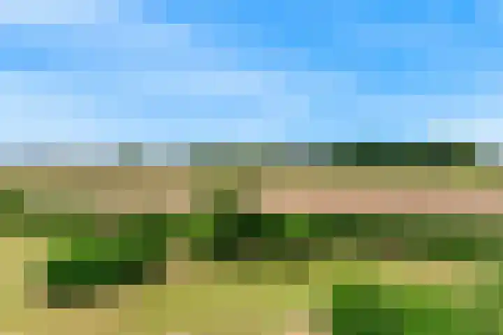 Kapellaan 60 Heiloo thumbnail 4