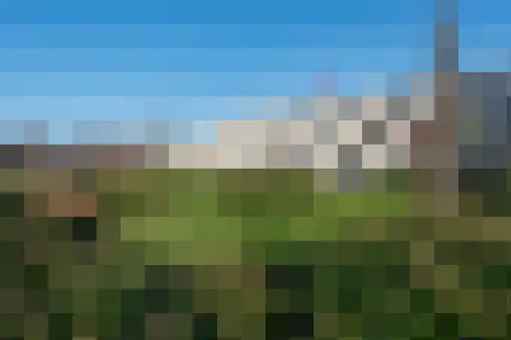 Kapellaan 78 Heiloo thumbnail 26