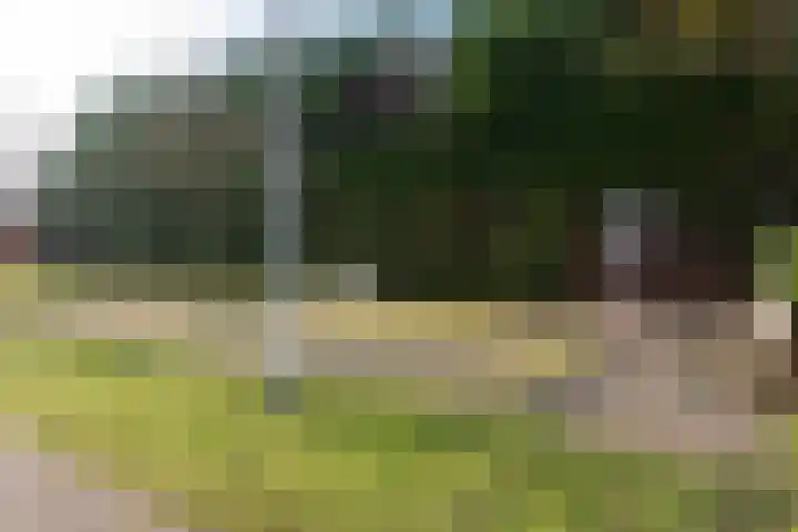 Kapellaan 78 Heiloo thumbnail 31
