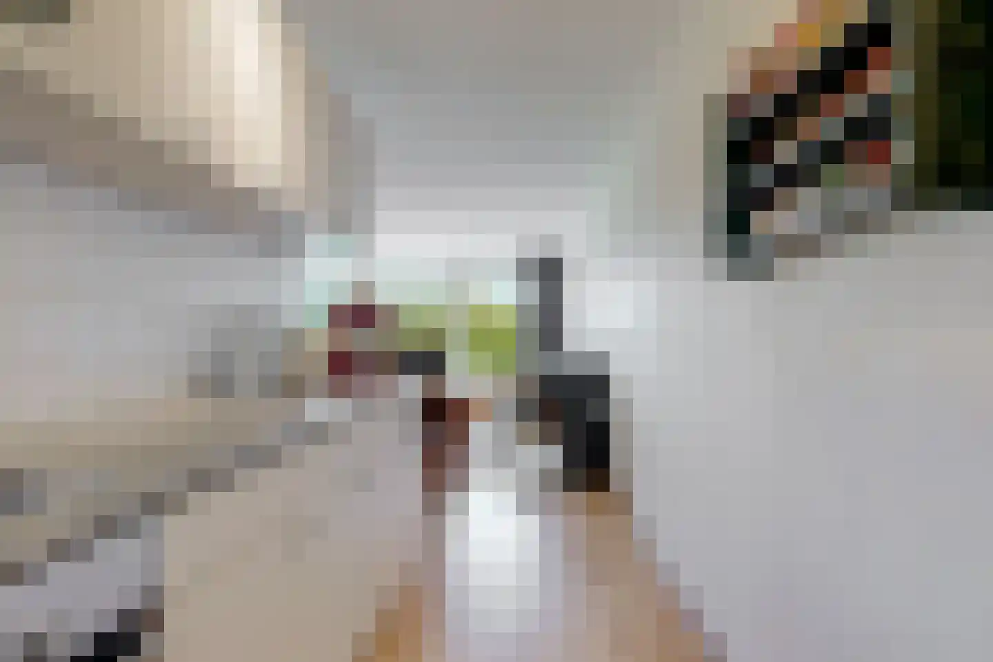 Kapellaan 96 Heiloo thumbnail 13