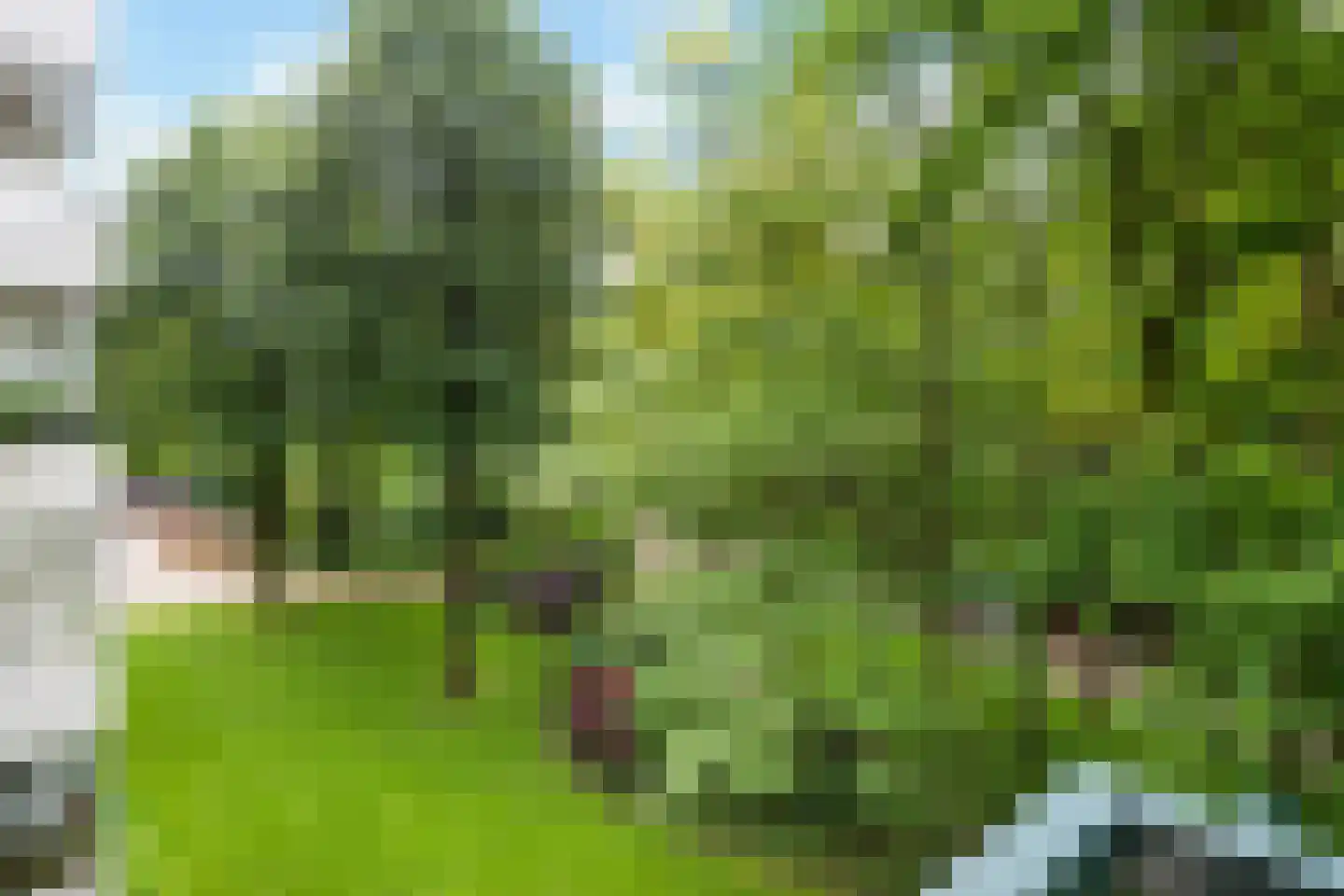 Kapelleboom 17 Doorwerth thumbnail 18