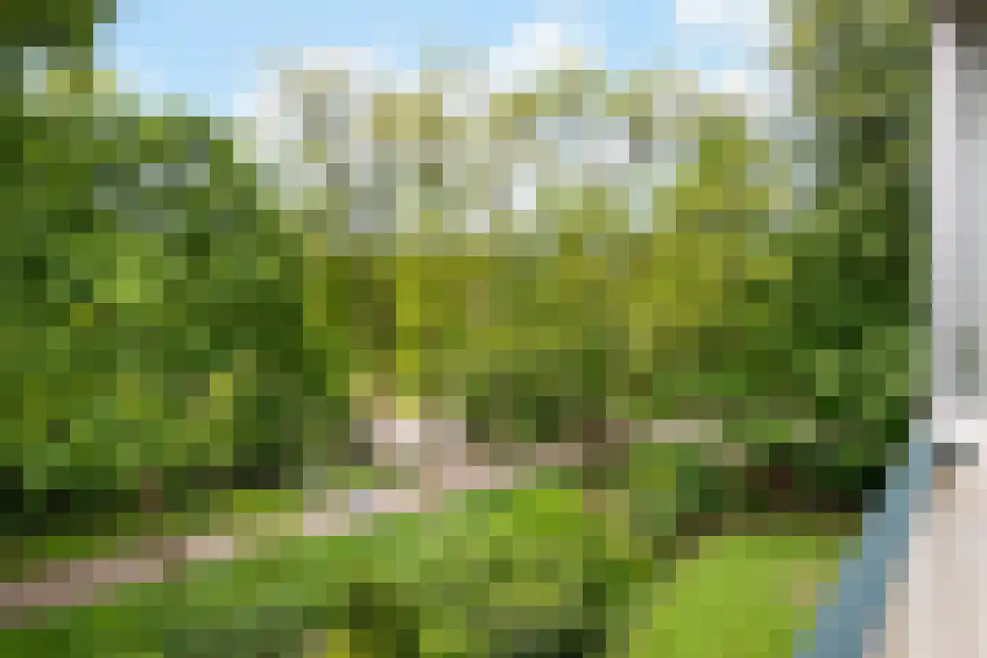 Kapelleboom 17 Doorwerth thumbnail 19