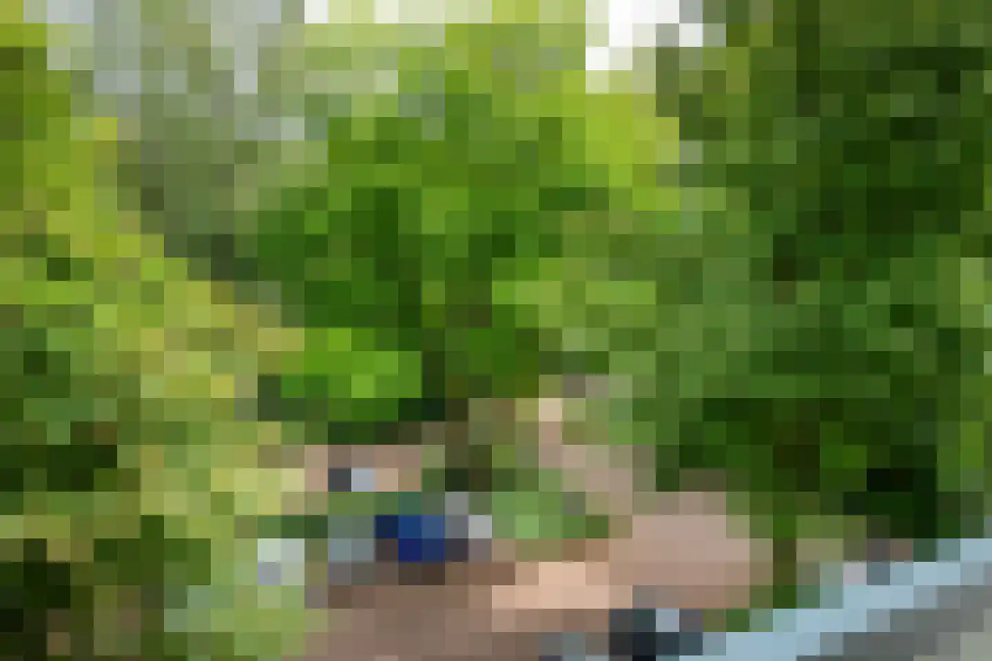 Kapelleboom 17 Doorwerth thumbnail 27