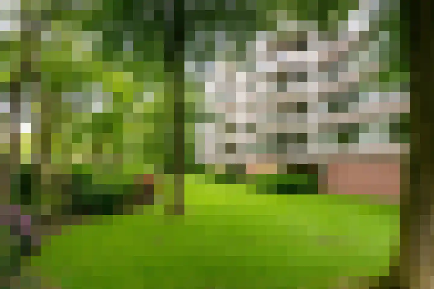 Kapelleboom 17 Doorwerth thumbnail 36