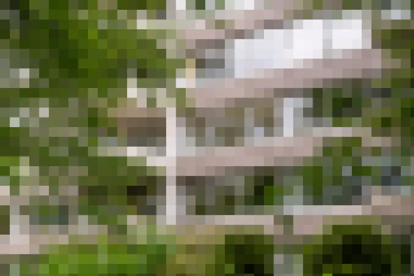 Kapelleboom 17 Doorwerth thumbnail 38
