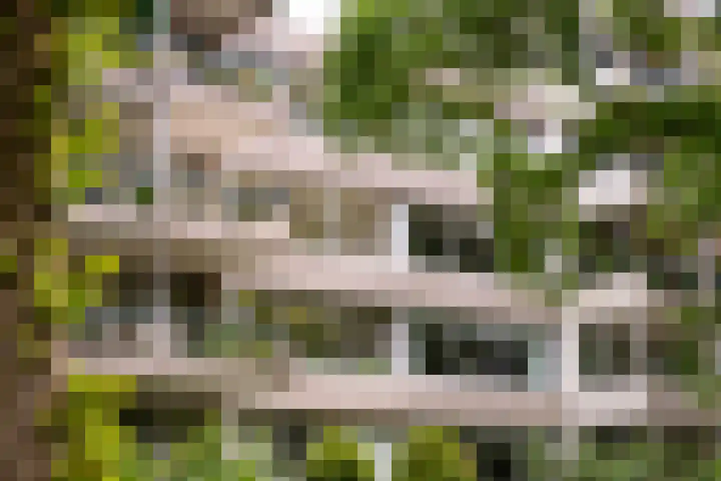 Kapelleboom 17 Doorwerth thumbnail 39