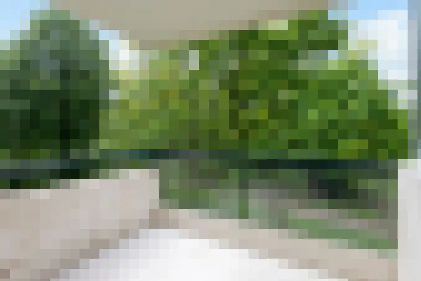 Kapelleboom 17 Doorwerth thumbnail 4