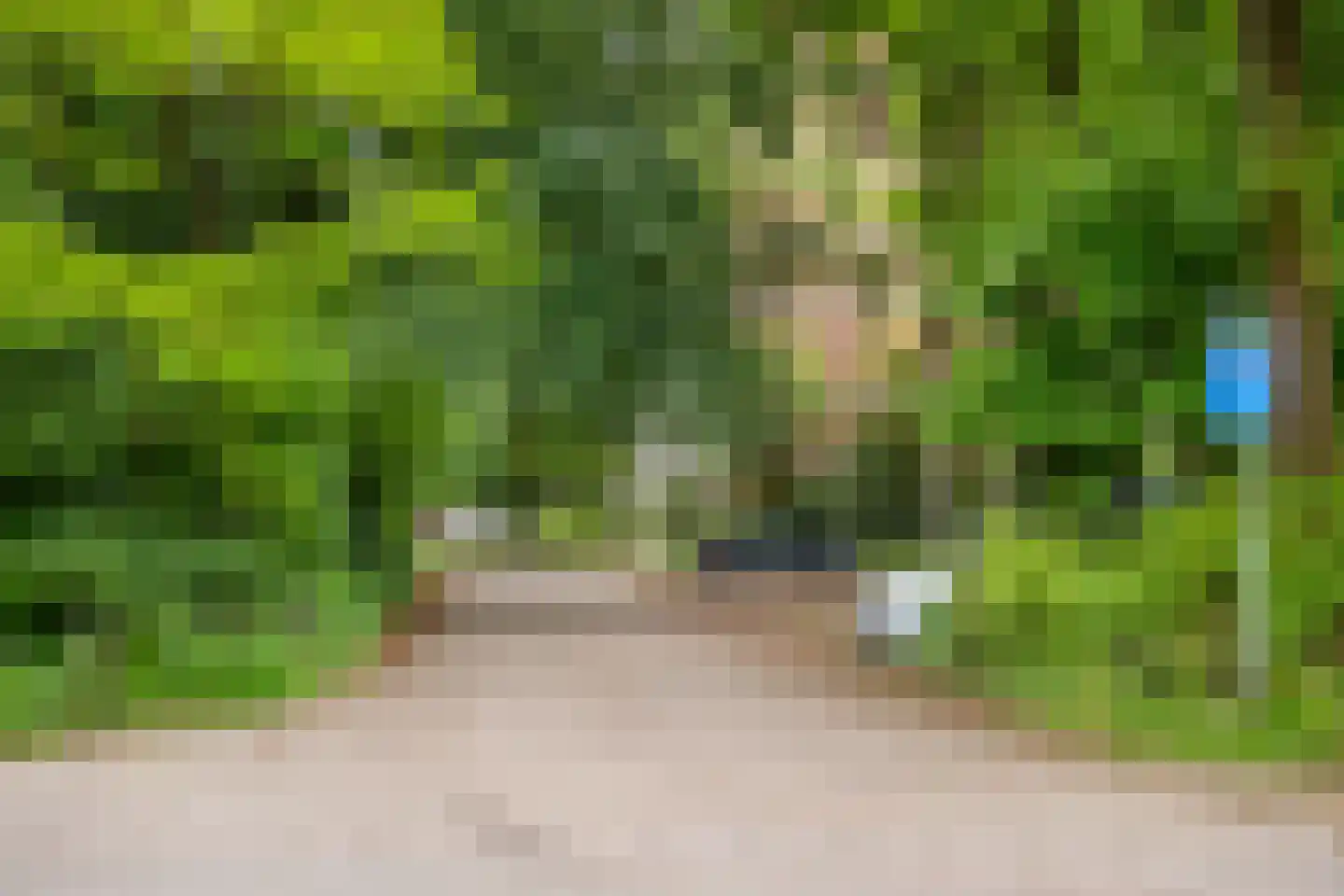 Kapelleboom 17 Doorwerth thumbnail 41