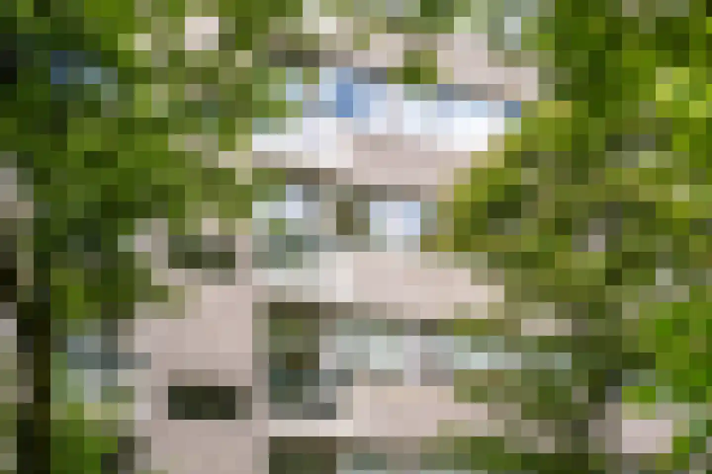 Kapelleboom 17 Doorwerth thumbnail 42
