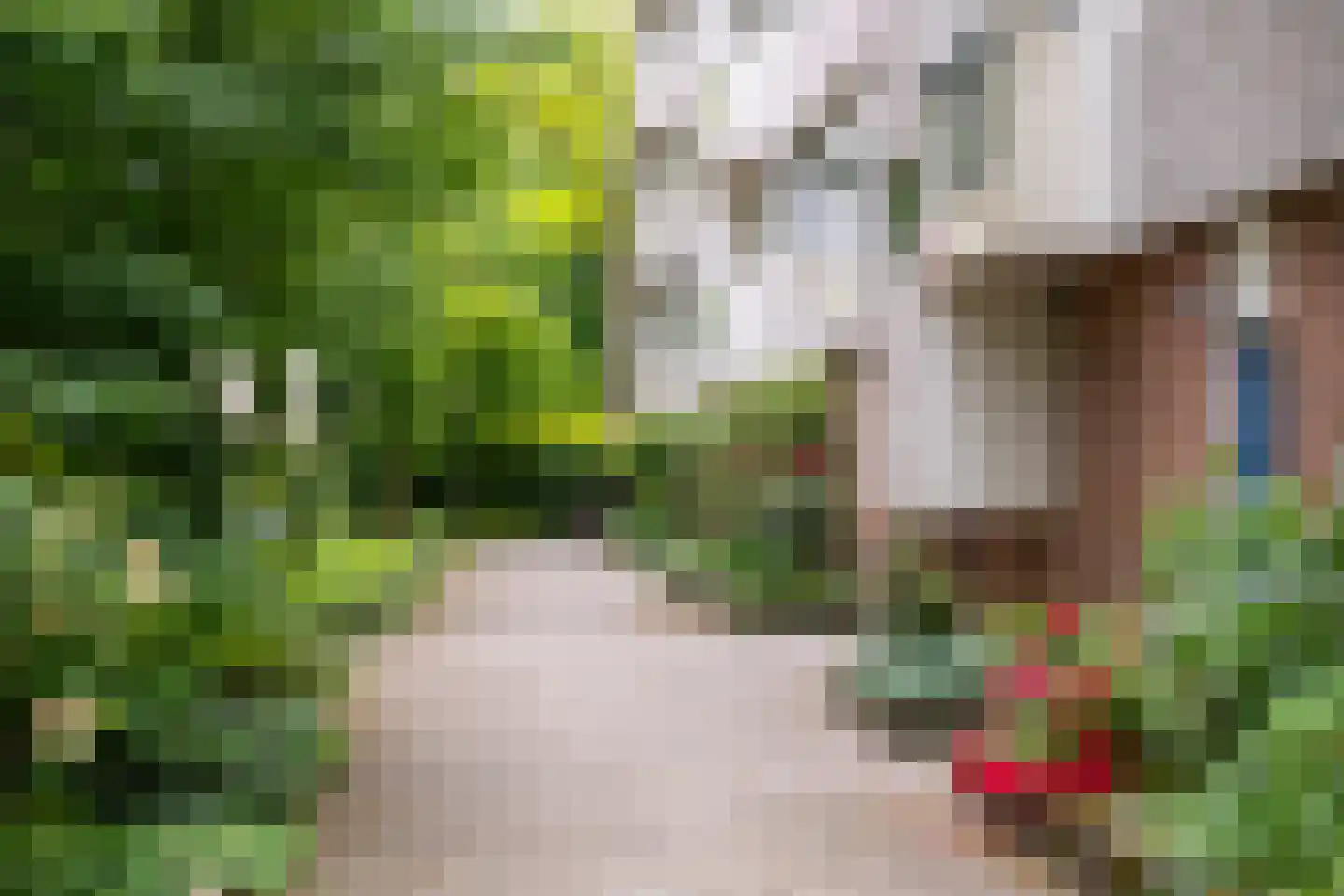 Kapelleboom 17 Doorwerth thumbnail 43