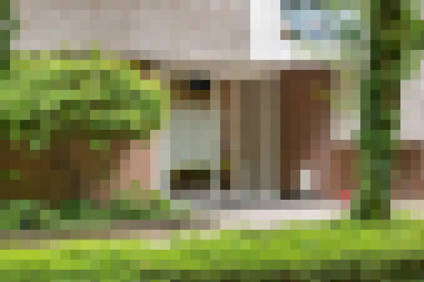 Kapelleboom 17 Doorwerth thumbnail 6