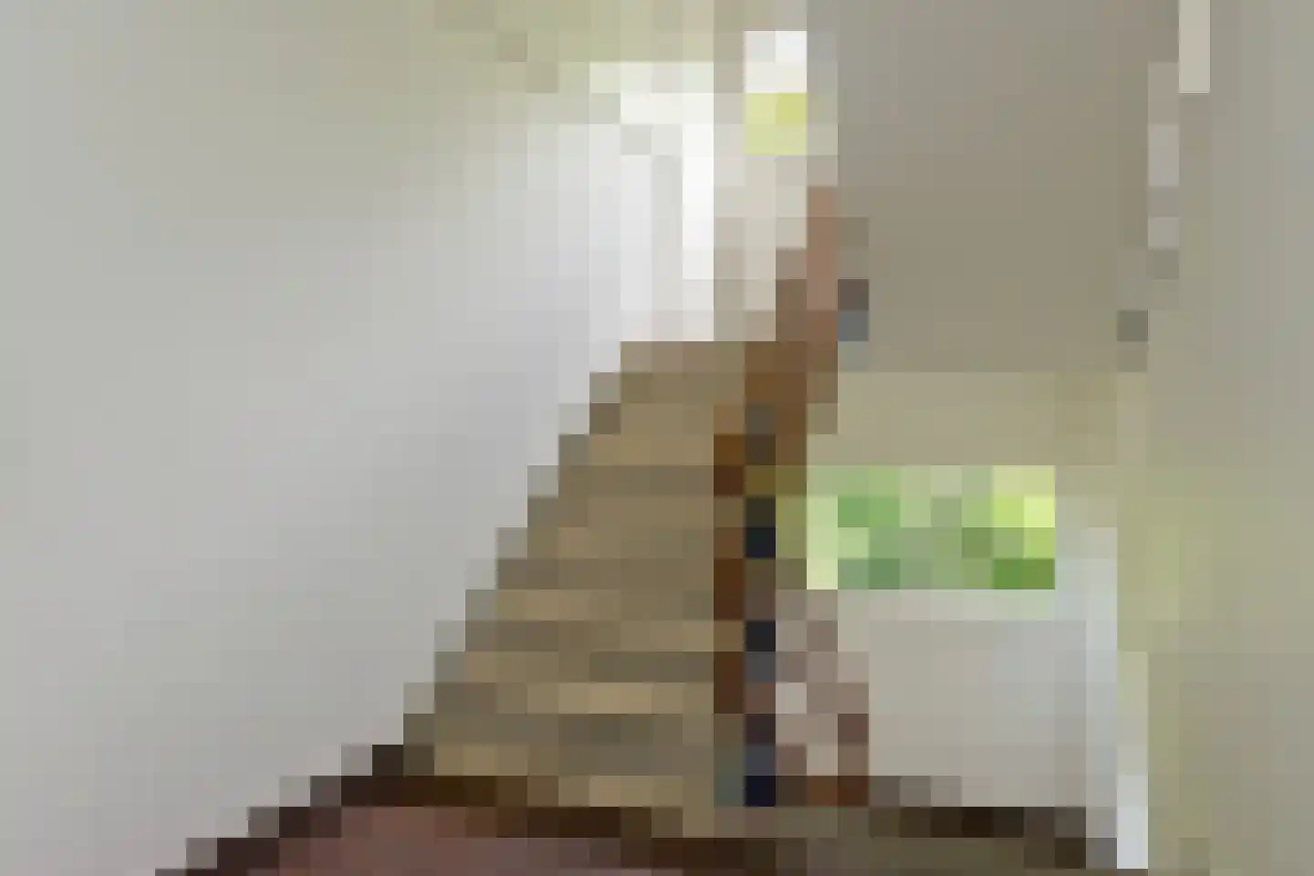 Kapelleboom 17 Doorwerth thumbnail 9