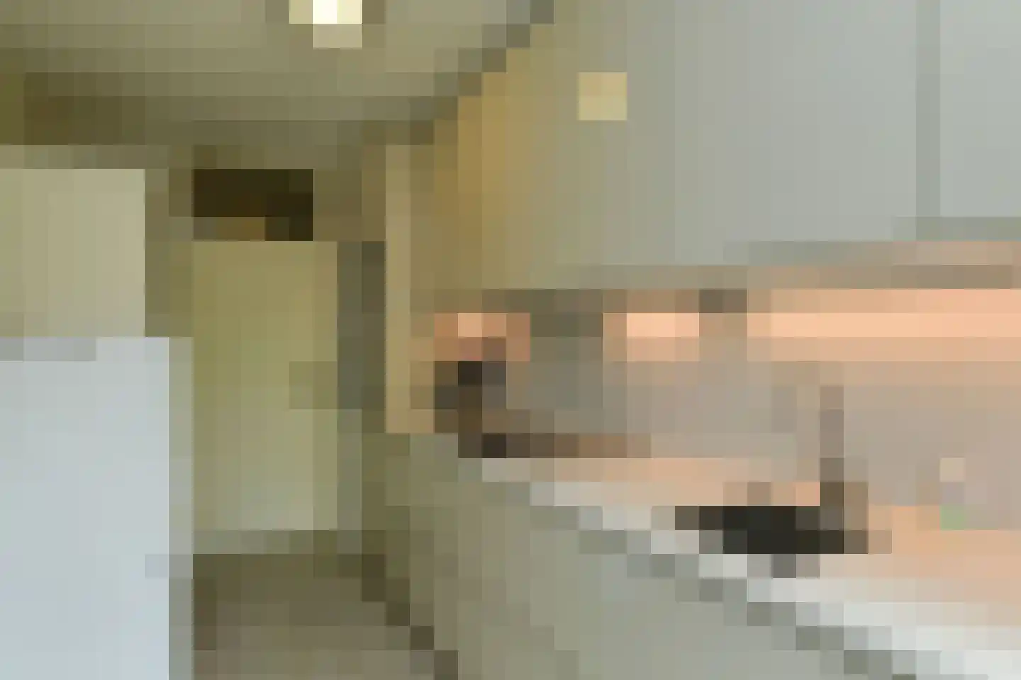 Kapelleboom 30 Doorwerth thumbnail 20