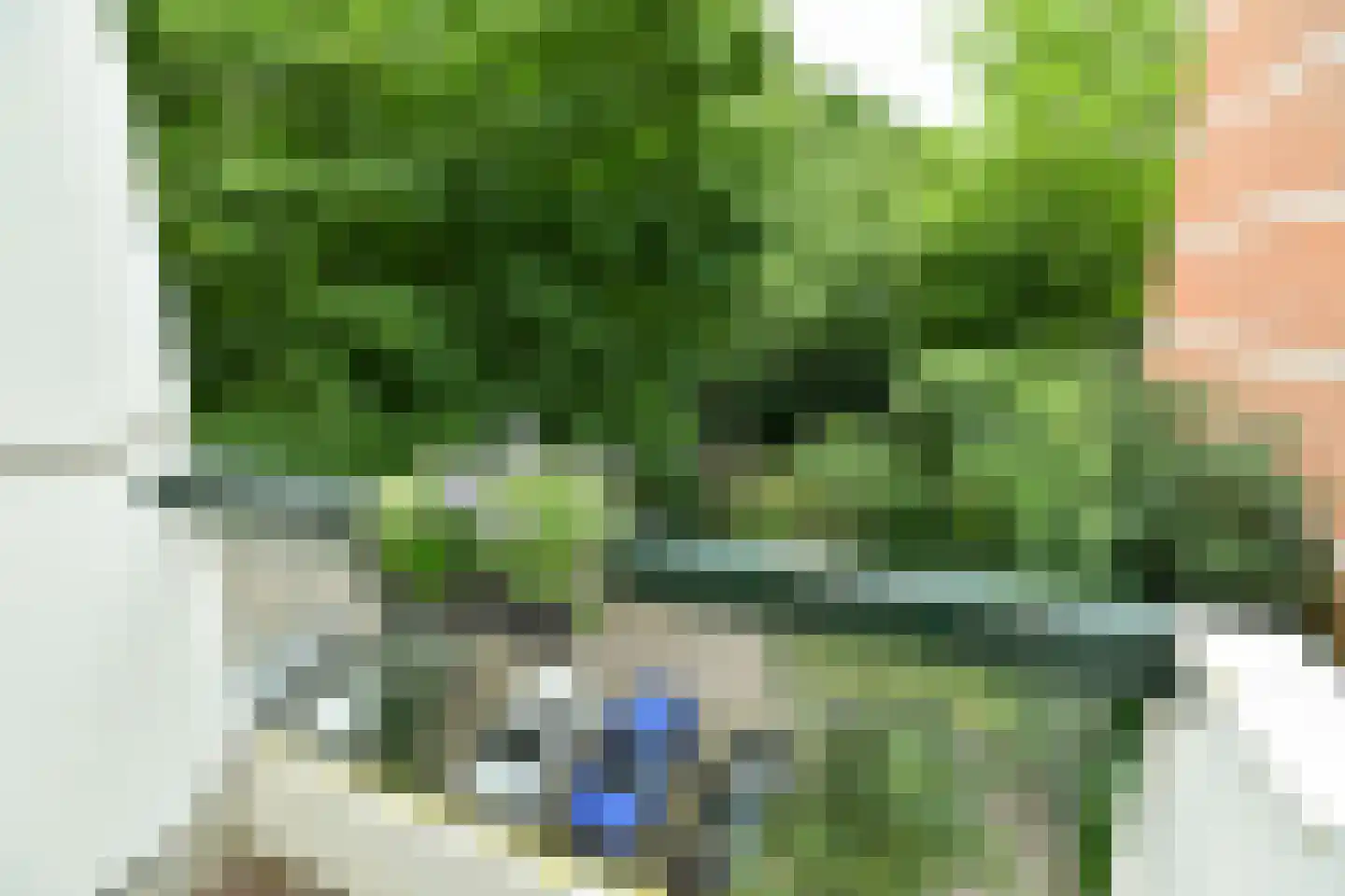 Kapelleboom 30 Doorwerth thumbnail 22
