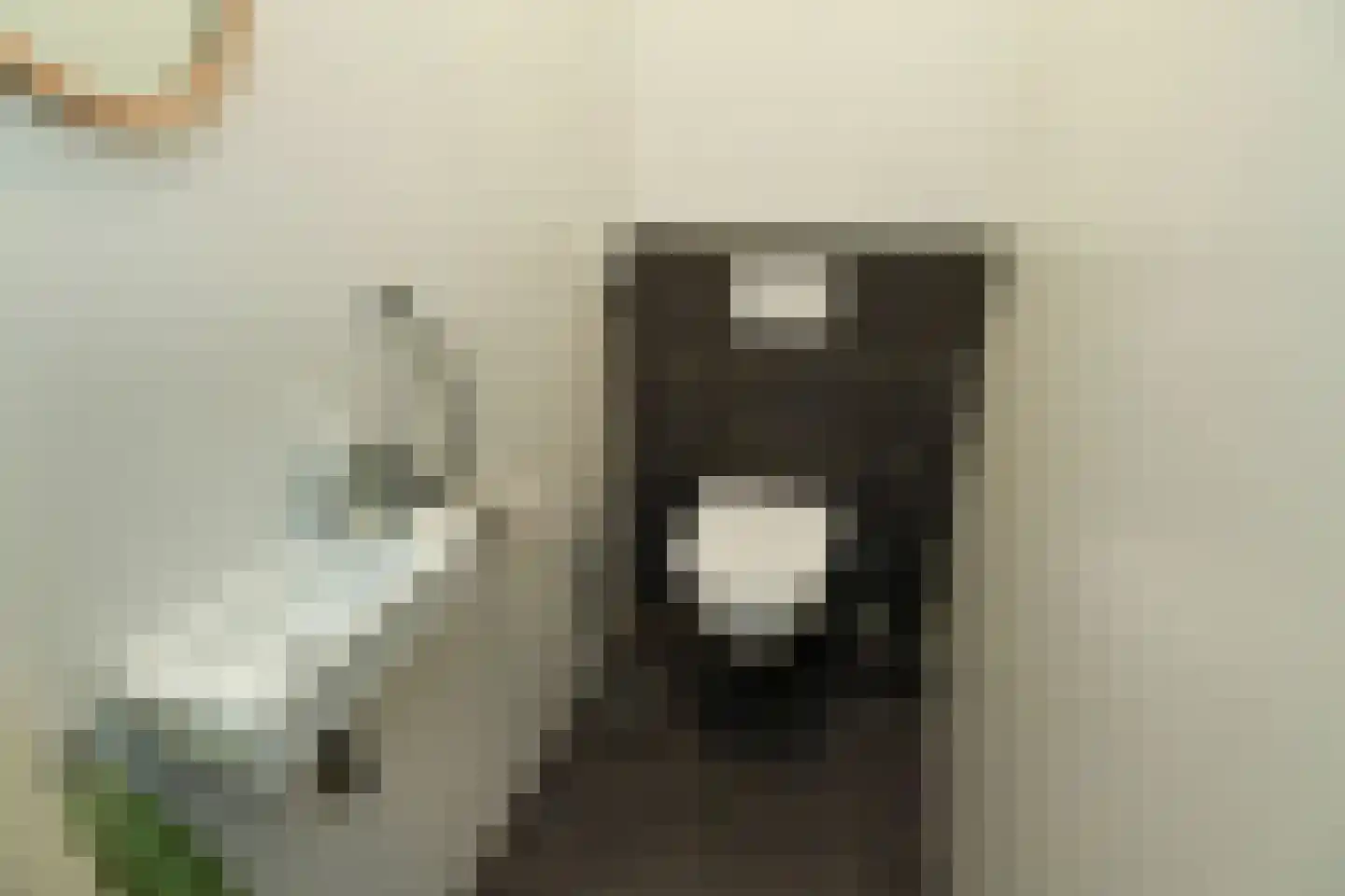 Kapelleboom 30 Doorwerth thumbnail 29
