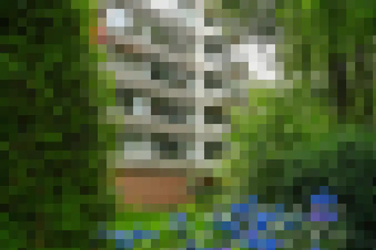 Kapelleboom 30 Doorwerth thumbnail 30