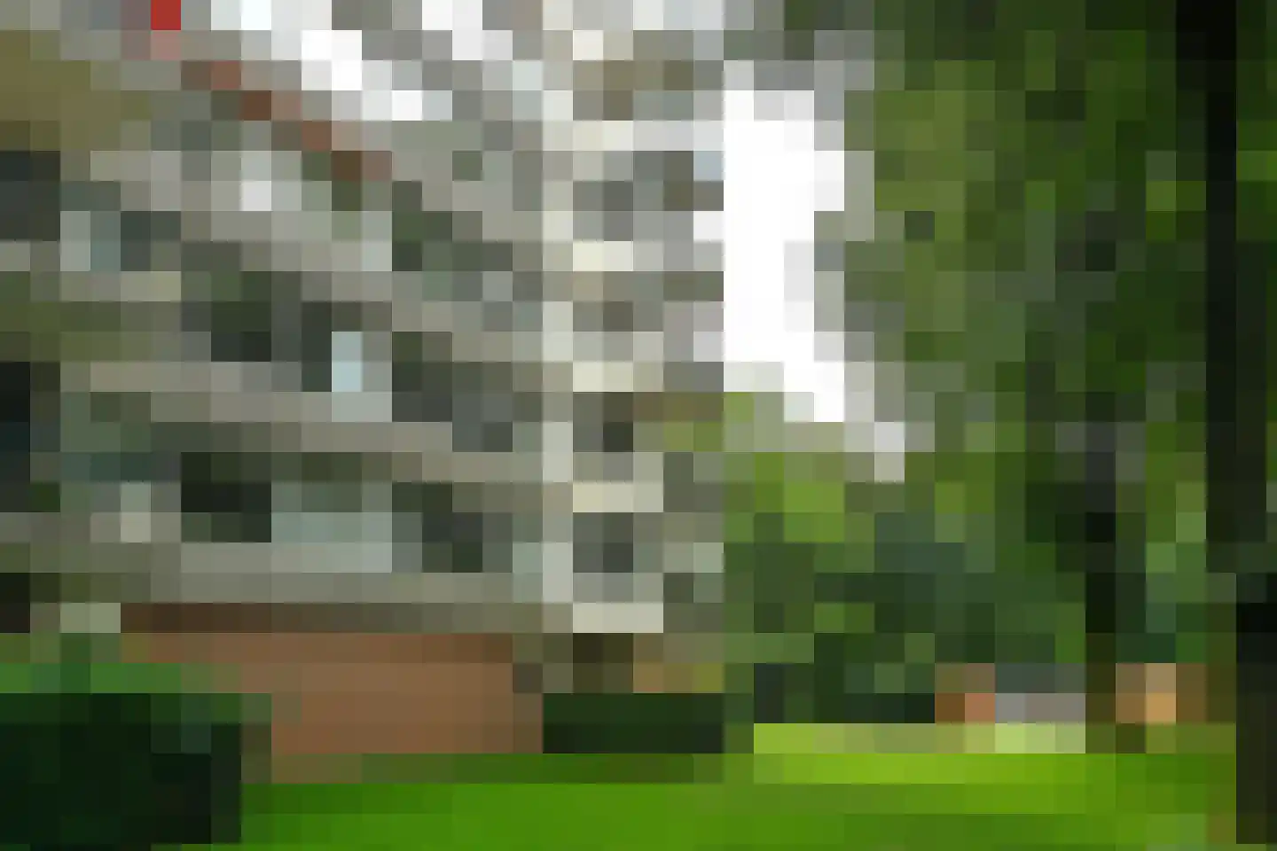 Kapelleboom 30 Doorwerth thumbnail 31