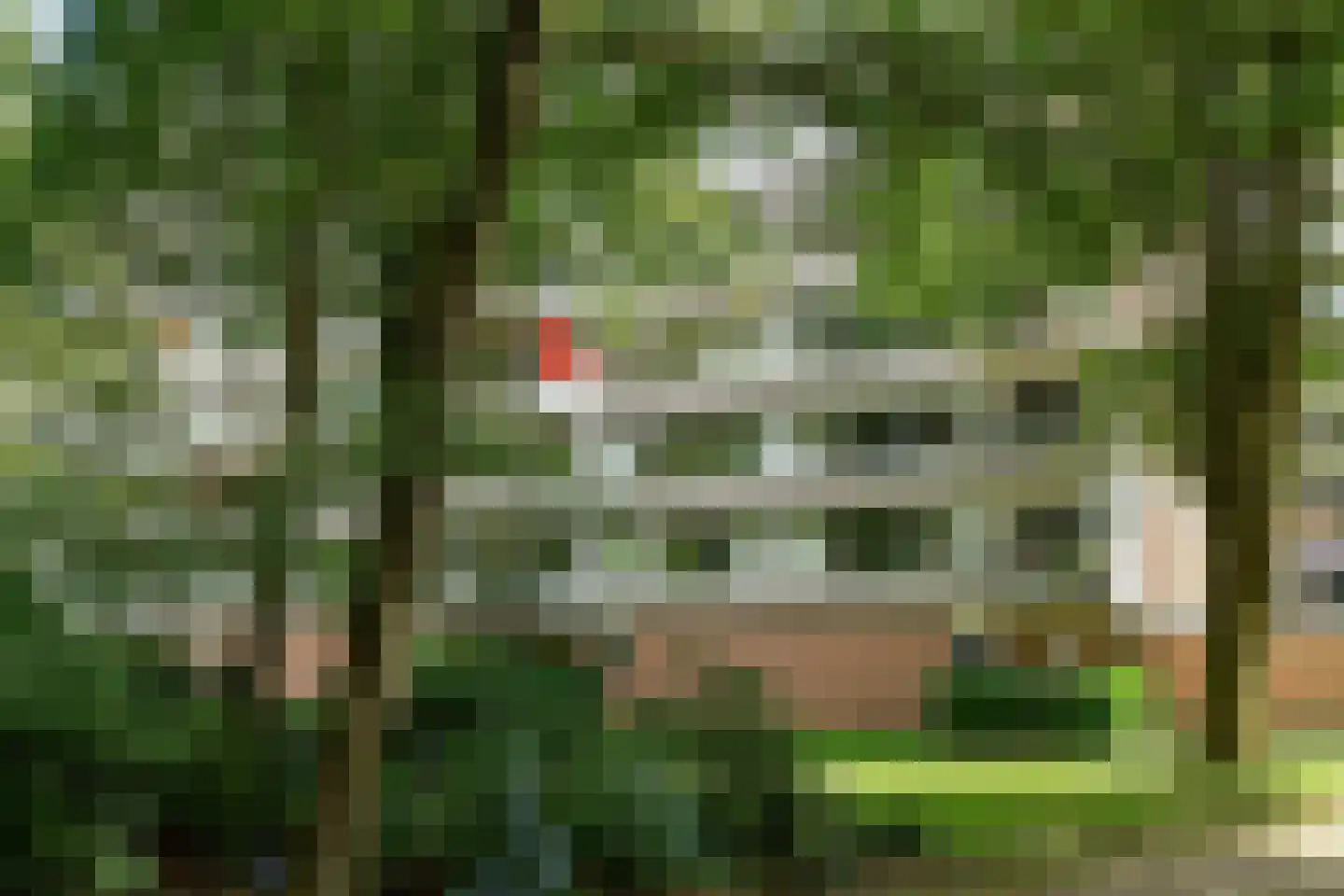 Kapelleboom 30 Doorwerth thumbnail 32