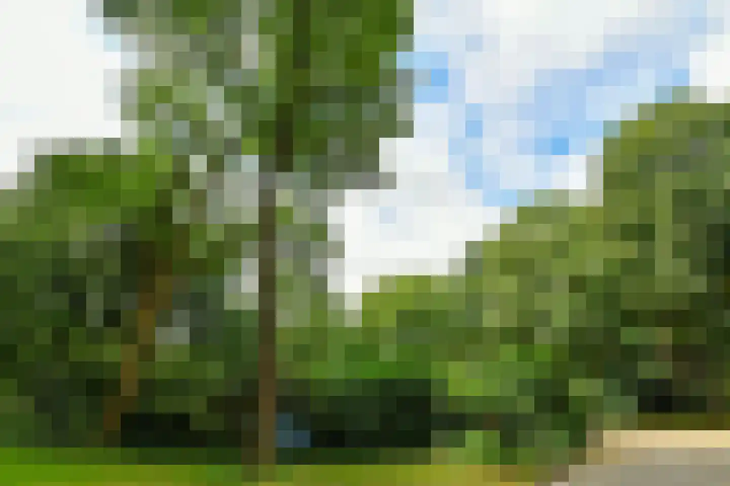Kapelleboom 30 Doorwerth thumbnail 34