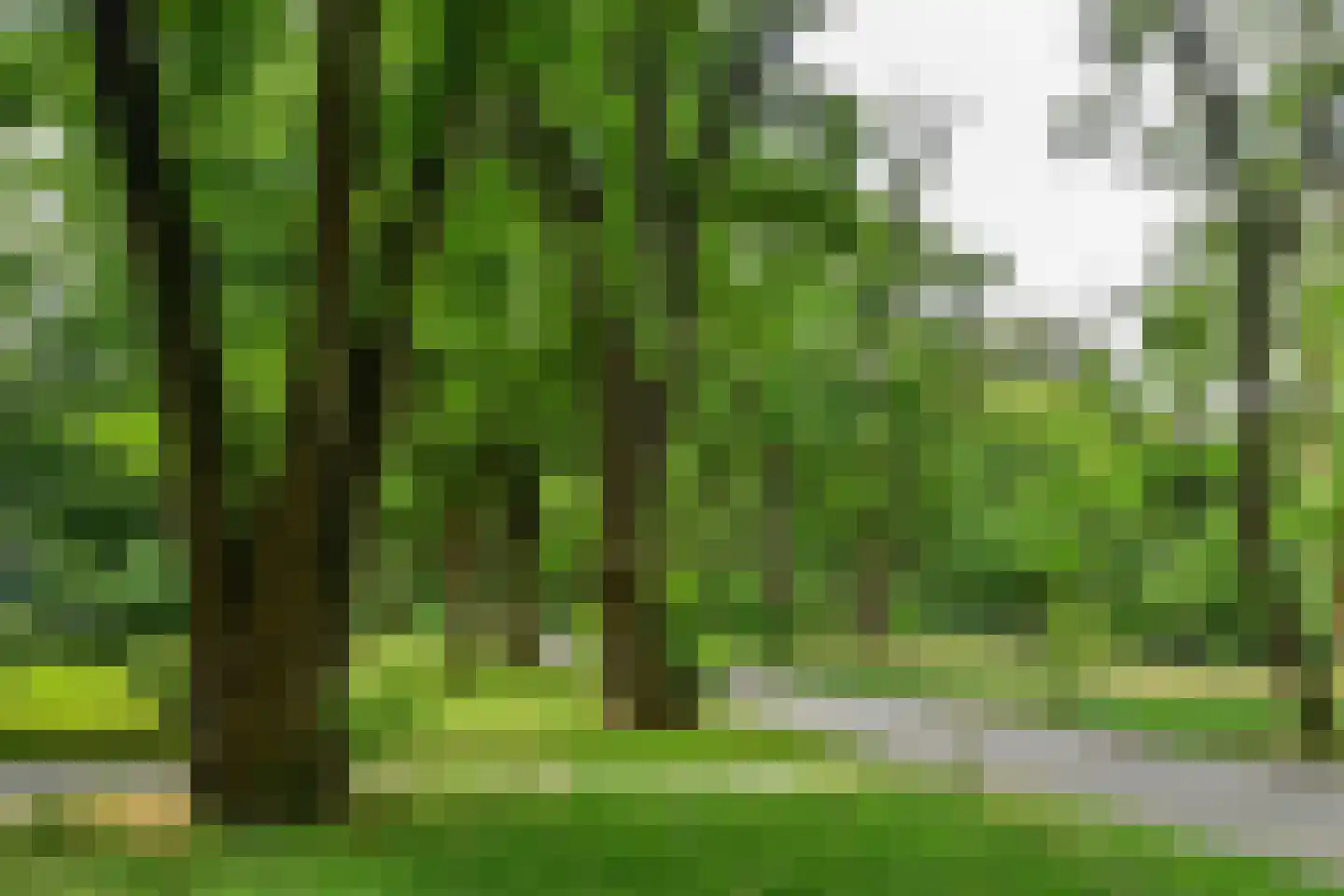 Kapelleboom 30 Doorwerth thumbnail 35