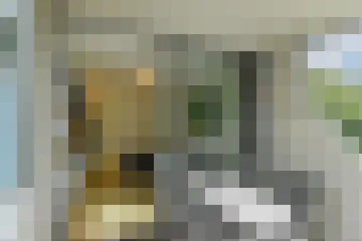 Kapelleboom 32 Doorwerth thumbnail 18