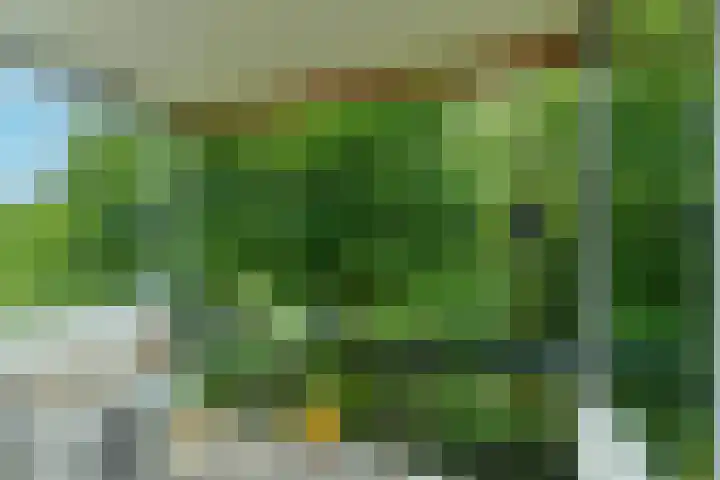 Kapelleboom 32 Doorwerth thumbnail 20