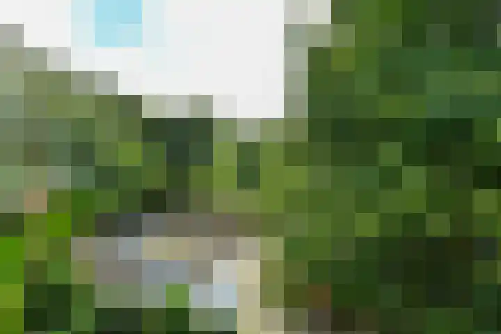 Kapelleboom 32 Doorwerth thumbnail 21