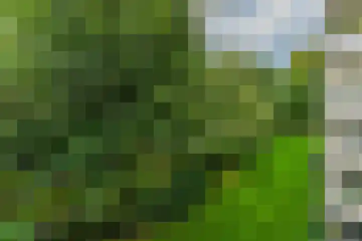 Kapelleboom 32 Doorwerth thumbnail 22
