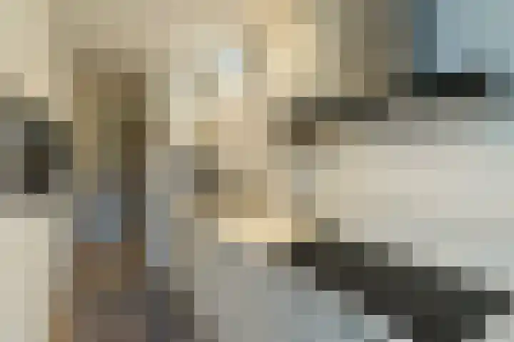 Kapelleboom 32 Doorwerth thumbnail 23