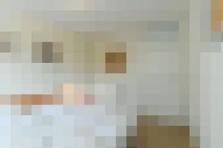 Kapelleboom 32 Doorwerth thumbnail 27