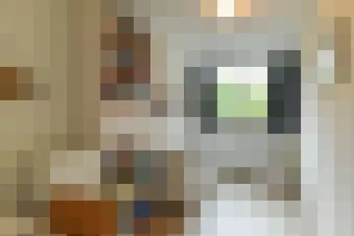 Kapelleboom 32 Doorwerth thumbnail 28